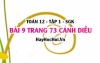 Bài 9 trang 73 Toán 12 tập 1 Cánh Diều